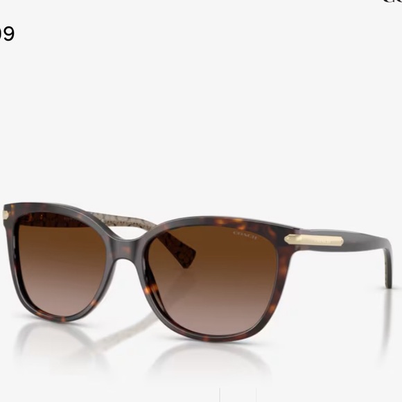 Coach light Brown confetti cat eye Sunglasses - Picture 3 of 16